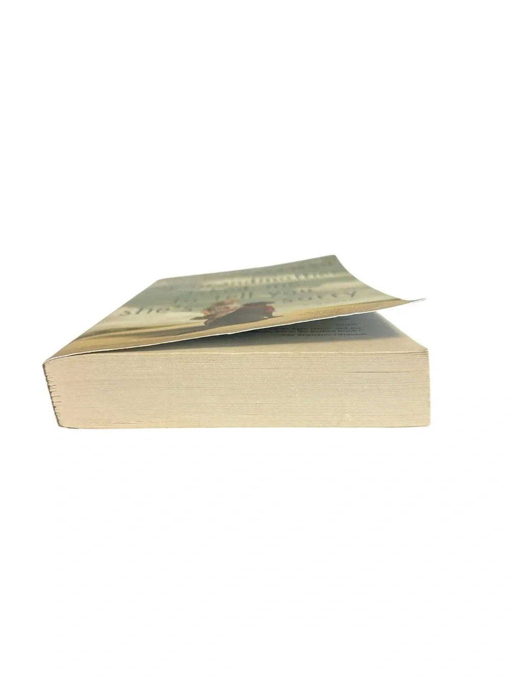 My Grandmother Asked Me to Tell You She’s Sorry by Fredrik Backman Paperback